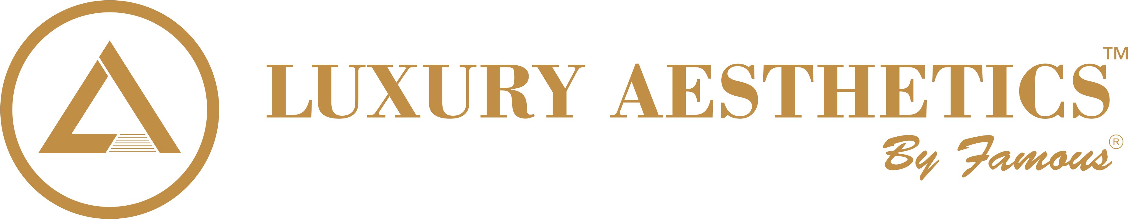 Luxury Aesthetics by Famous
